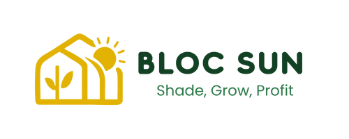 BLOC SUN – Gölge Tozu